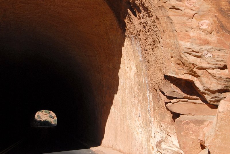 2011-07-13_Zion Canyon-Tag18_280.jpg